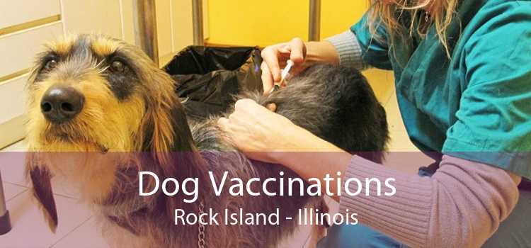 Dog Vaccinations Rock Island - Illinois