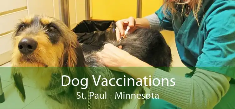 Dog Vaccinations St. Paul - Minnesota