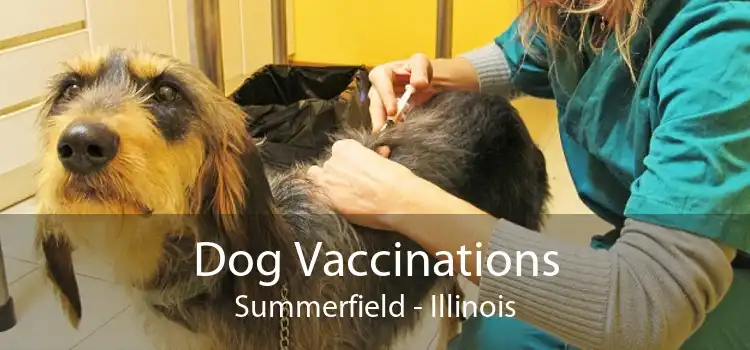 Dog Vaccinations Summerfield - Illinois