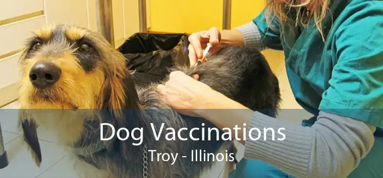 Dog Vaccinations Troy - Illinois