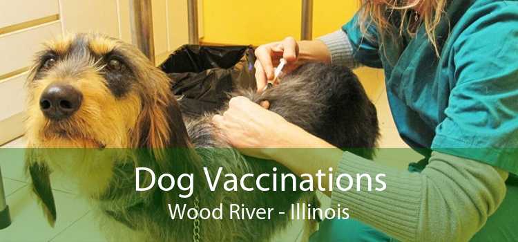 Dog Vaccinations Wood River - Illinois