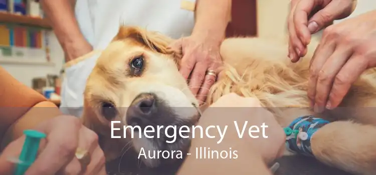 Emergency Vet Aurora - Illinois