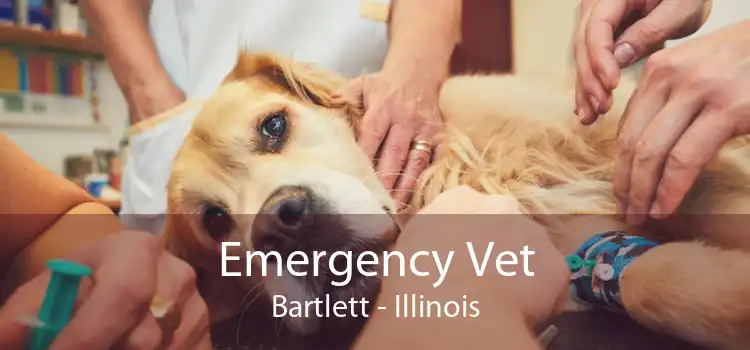 Emergency Vet Bartlett - Illinois