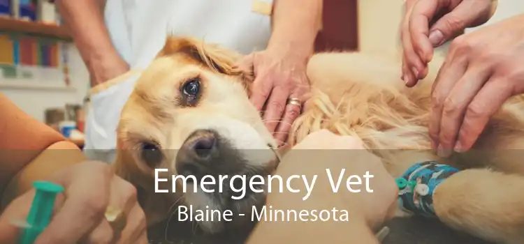 Emergency Vet Blaine - Minnesota