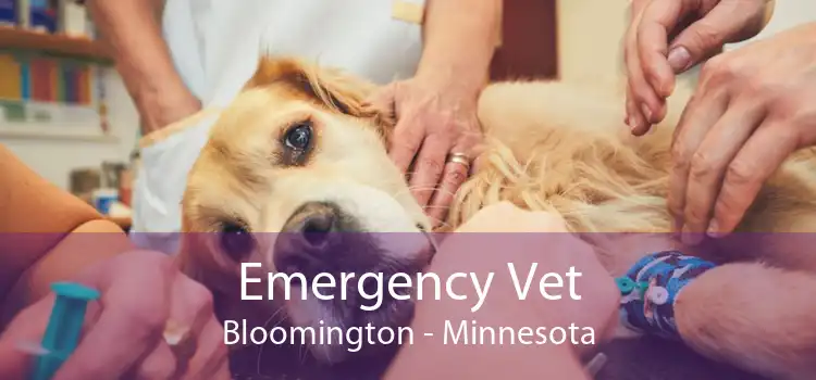 Emergency Vet Bloomington - Minnesota