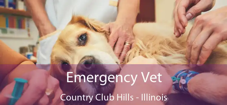 Emergency Vet Country Club Hills - Illinois