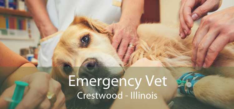 Emergency Vet Crestwood - Illinois
