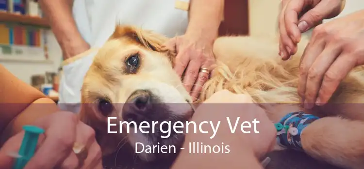Emergency Vet Darien - Illinois