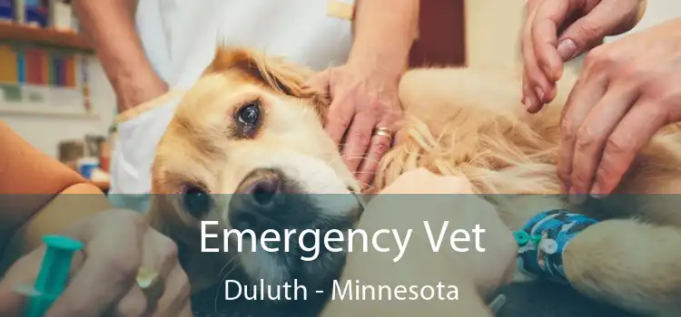 Emergency Vet Duluth - Minnesota