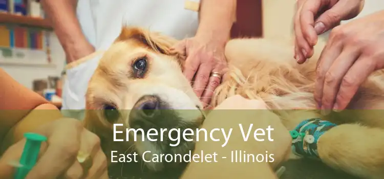 Emergency Vet East Carondelet - Illinois