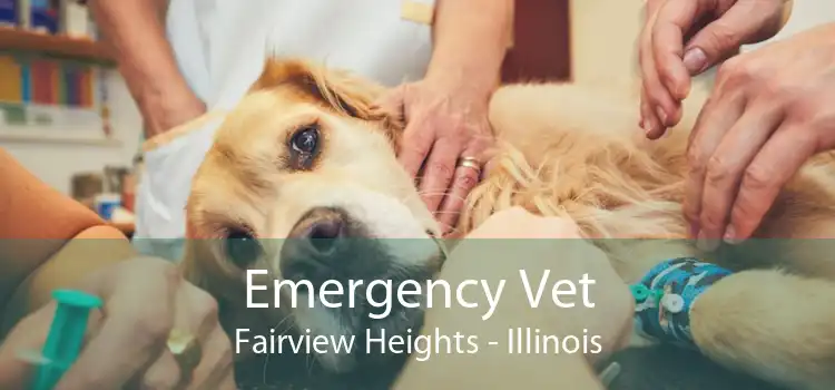 Emergency Vet Fairview Heights - Illinois
