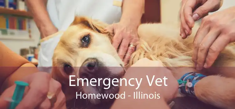 Emergency Vet Homewood - Illinois