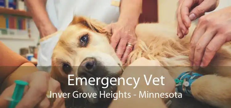 Emergency Vet Inver Grove Heights - Minnesota
