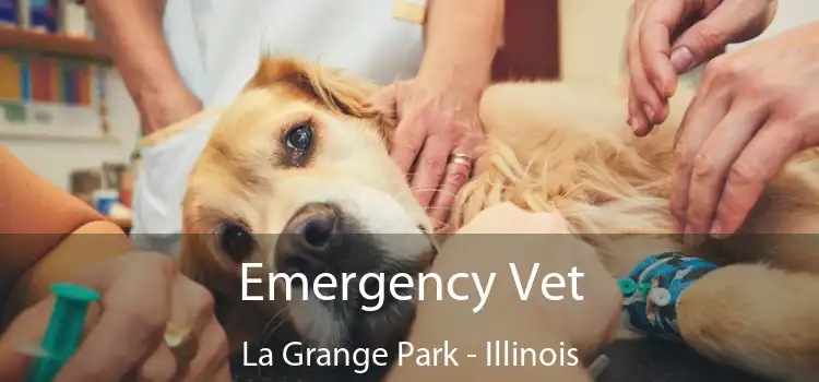 Emergency Vet La Grange Park - Illinois