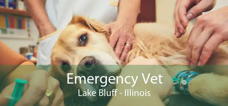 Emergency Vet Lake Bluff - Illinois