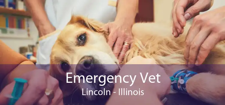 Emergency Vet Lincoln - Illinois