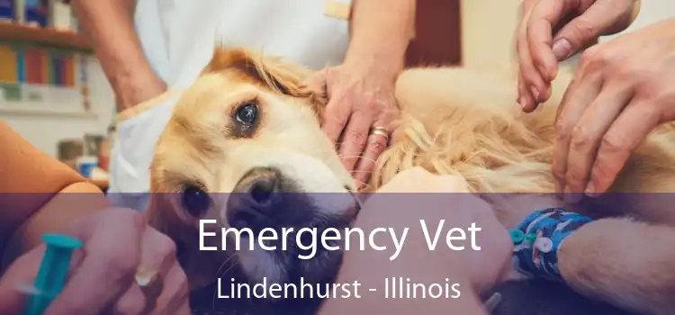 Emergency Vet Lindenhurst - Illinois