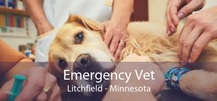 Emergency Vet Litchfield - Minnesota