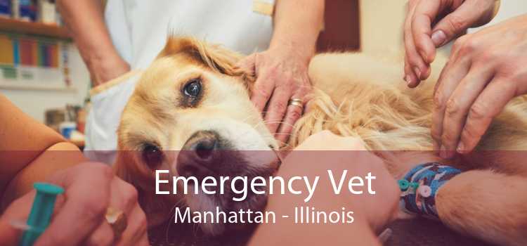 Emergency Vet Manhattan - Illinois