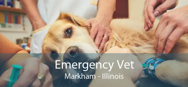Emergency Vet Markham - Illinois
