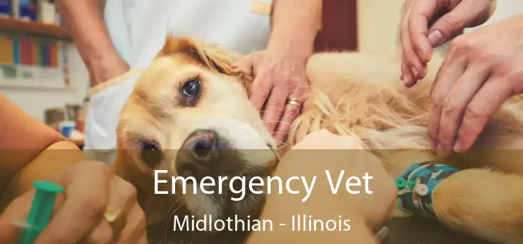 Emergency Vet Midlothian - Illinois