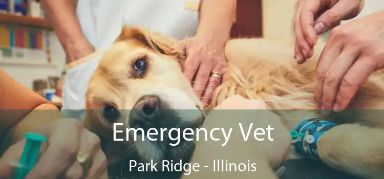 Emergency Vet Park Ridge - Illinois