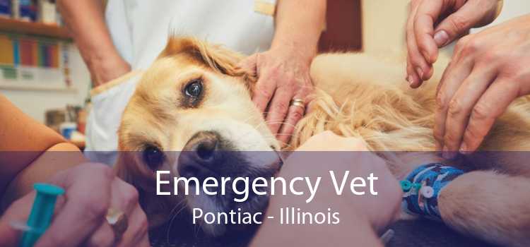 Emergency Vet Pontiac - Illinois
