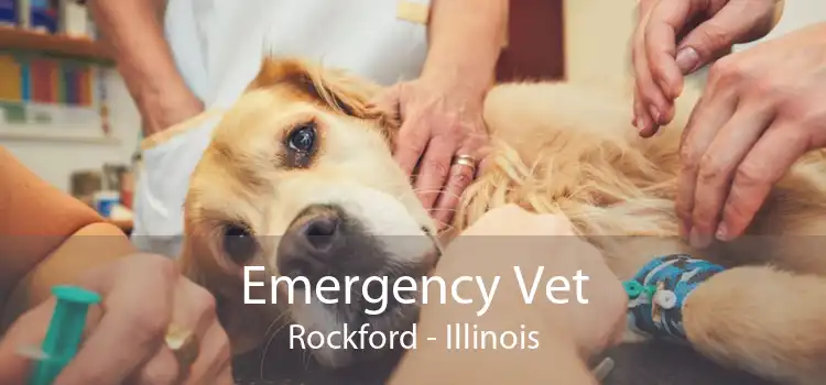 Emergency Vet Rockford - Illinois