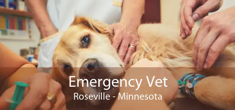 Emergency Vet Roseville - Minnesota