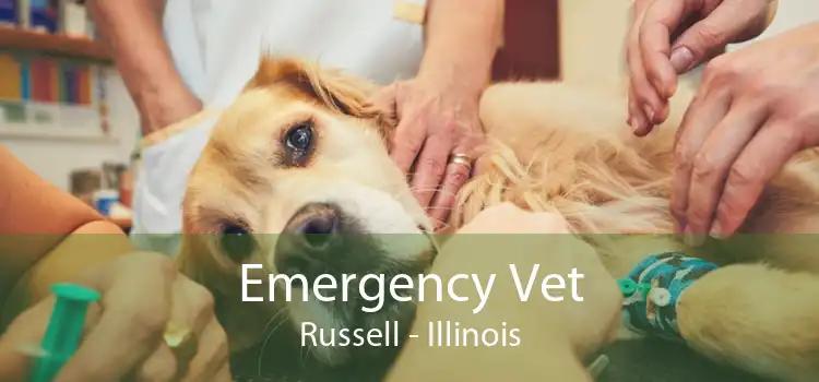 Emergency Vet Russell - Illinois