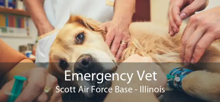 Emergency Vet Scott Air Force Base - Illinois
