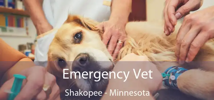Emergency Vet Shakopee - Minnesota