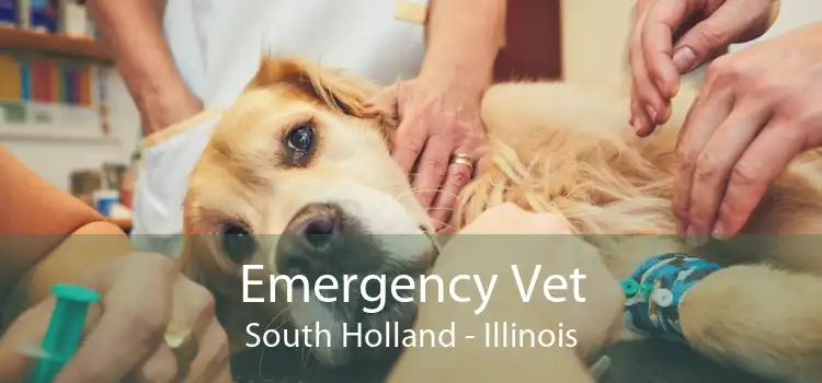 Emergency Vet South Holland - Illinois