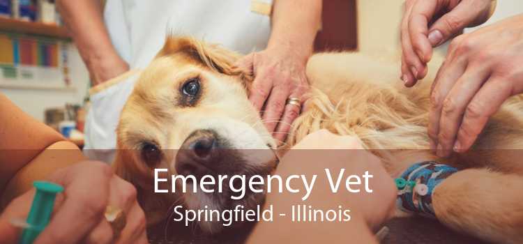 Emergency Vet Springfield - Illinois