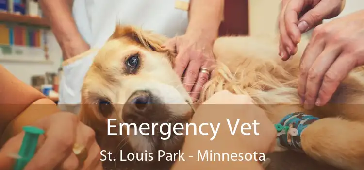 Emergency Vet St. Louis Park - Minnesota