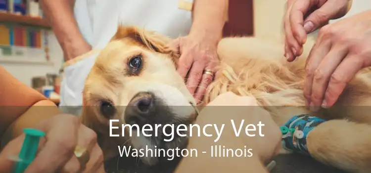 Emergency Vet Washington - Illinois