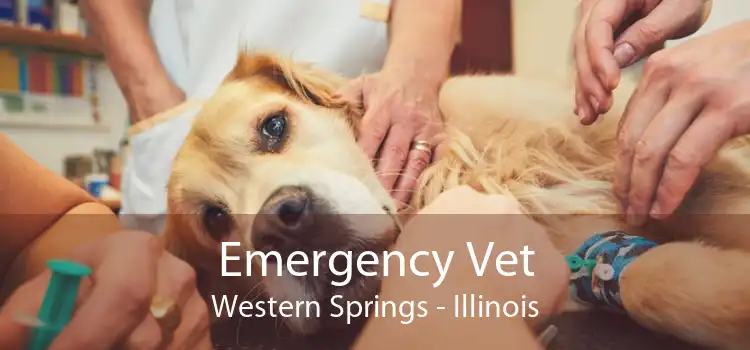Emergency Vet Western Springs - Illinois