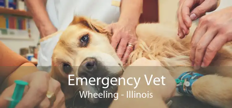 Emergency Vet Wheeling - Illinois