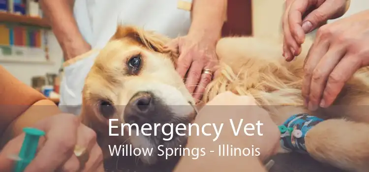 Emergency Vet Willow Springs - Illinois
