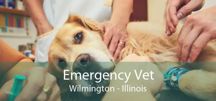 Emergency Vet Wilmington - Illinois
