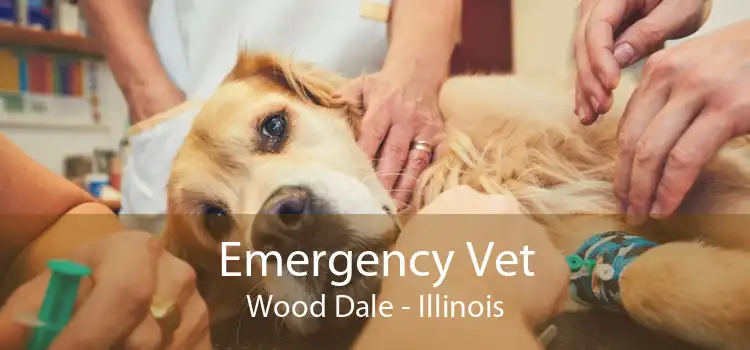 Emergency Vet Wood Dale - Illinois