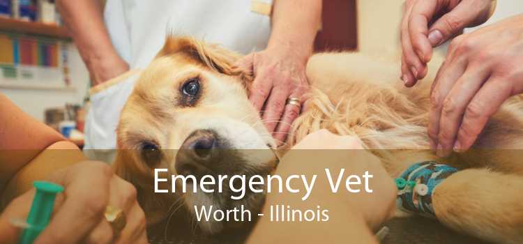 Emergency Vet Worth - Illinois