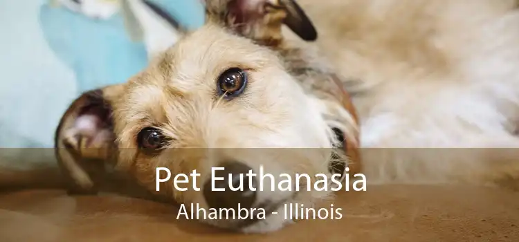 Pet Euthanasia Alhambra - Illinois