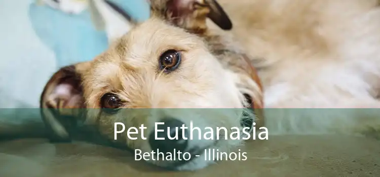 Pet Euthanasia Bethalto - Illinois
