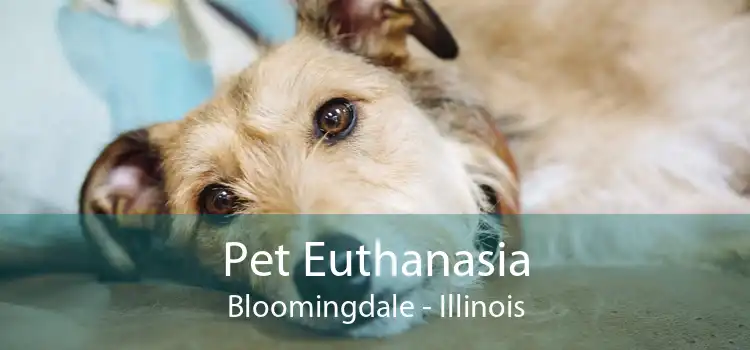 Pet Euthanasia Bloomingdale - Illinois