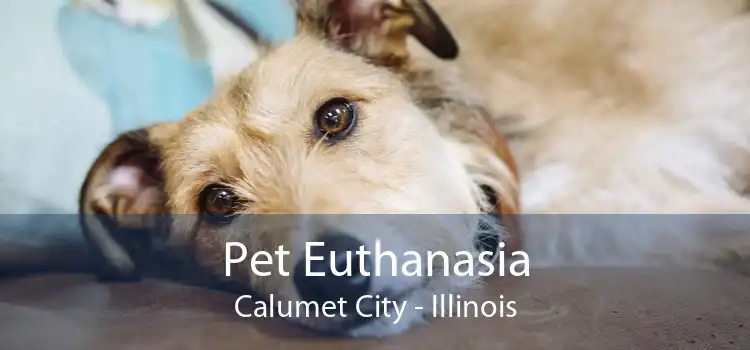 Pet Euthanasia Calumet City - Illinois