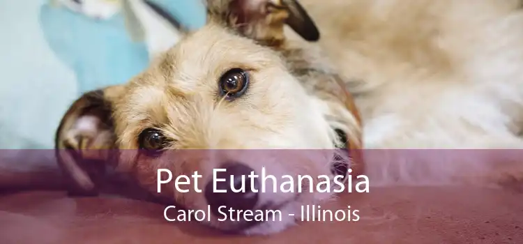 Pet Euthanasia Carol Stream - Illinois