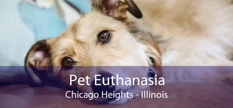 Pet Euthanasia Chicago Heights - Illinois