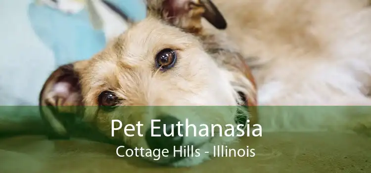 Pet Euthanasia Cottage Hills - Illinois