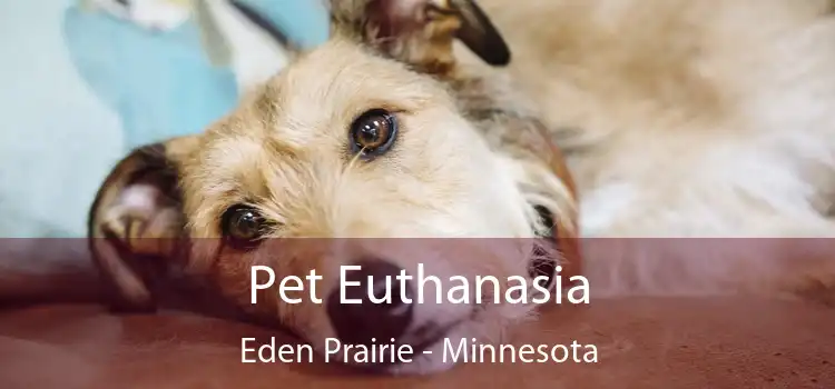 Pet Euthanasia Eden Prairie - Minnesota